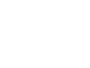 Ship Apollo
